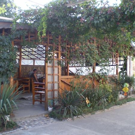 Guest House Rusalka Bjala Exteriér fotografie