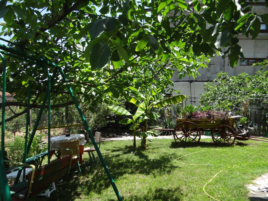 Guest House Rusalka Bjala Exteriér fotografie